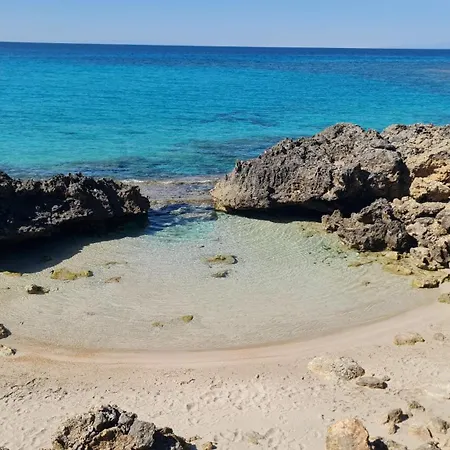 L'edicola - - פולסנו