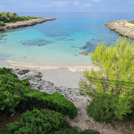 L'edicola - - * פולסנו