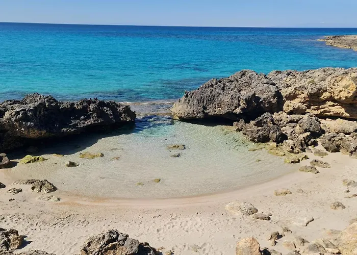 L'edicola - - Pulsano